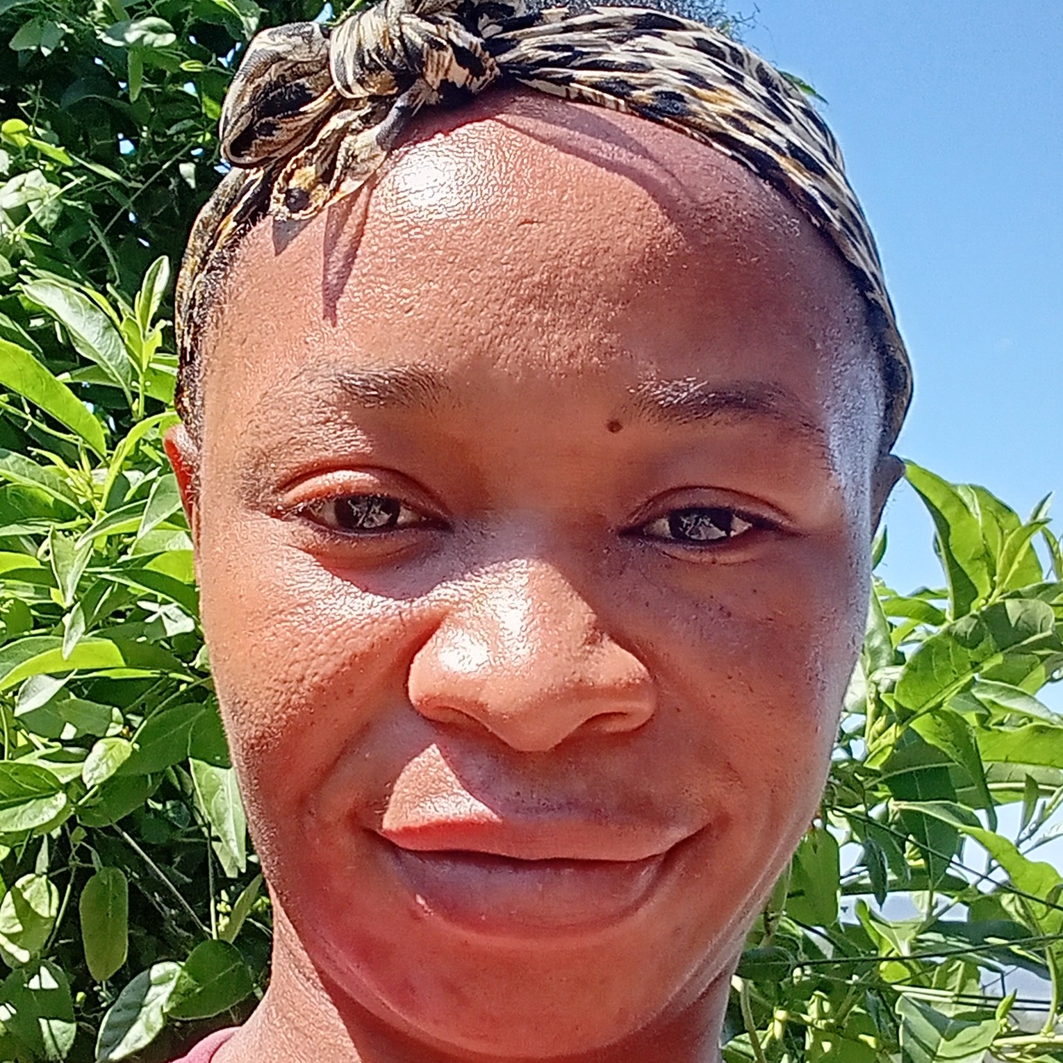Mandilakhe Frackson's profile photo